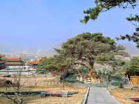 延吉·東來寺 | 一場心靈的禪意之旅。