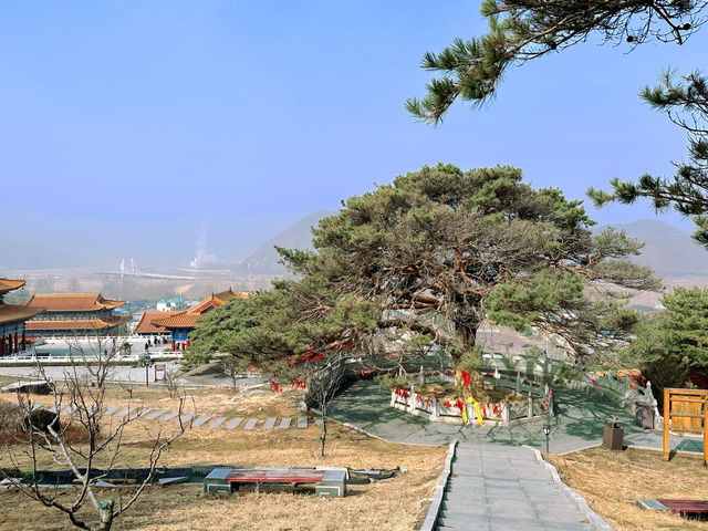 延吉·東來寺 | 一場心靈的禪意之旅。