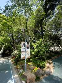 魔都最核心區域的五彩城市公園，中心湖碧波蕩漾。