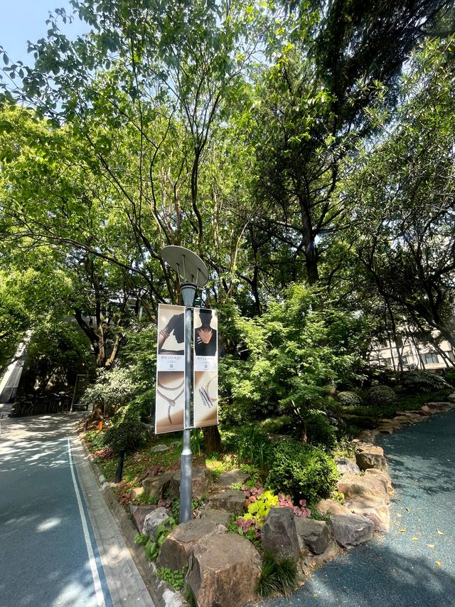 魔都最核心區域的五彩城市公園，中心湖碧波蕩漾。