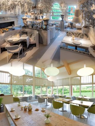 解鎖隱世桃源，榆樹SPA酒店——您的奢華休憩秘境。