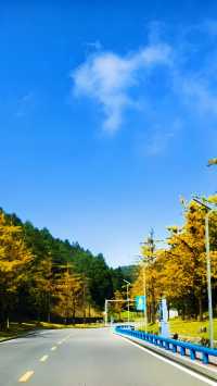 南天湖景區門票只需58元嗎？。