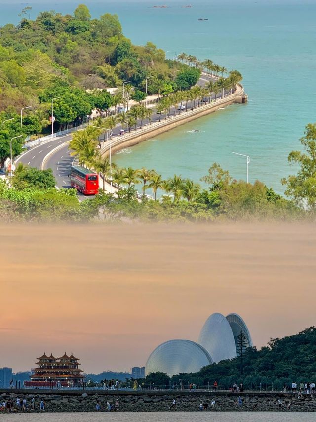 哇！珠海真的是個寶藏地方啊！