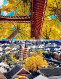 12月一定要來蘇州定慧寺，不然真的後悔。