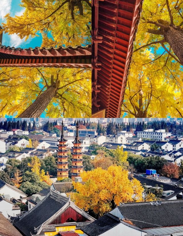 12月一定要來蘇州定慧寺，不然真的後悔。