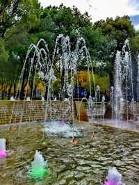 文化廣場除了看劇,還有銀杏。