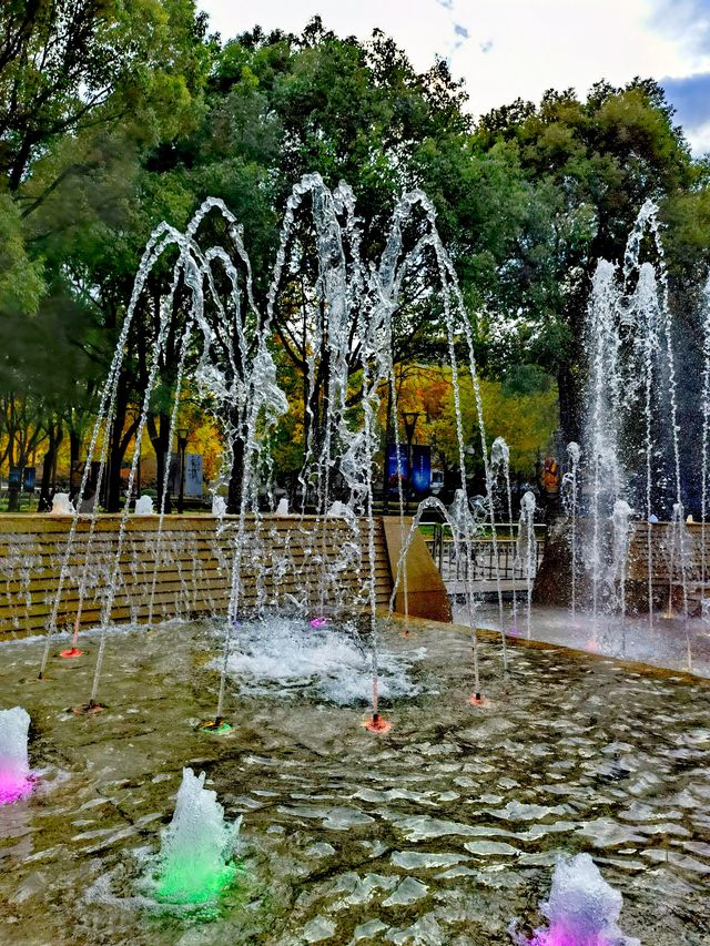 文化廣場除了看劇,還有銀杏。 文化廣場除了看劇,還有銀杏。