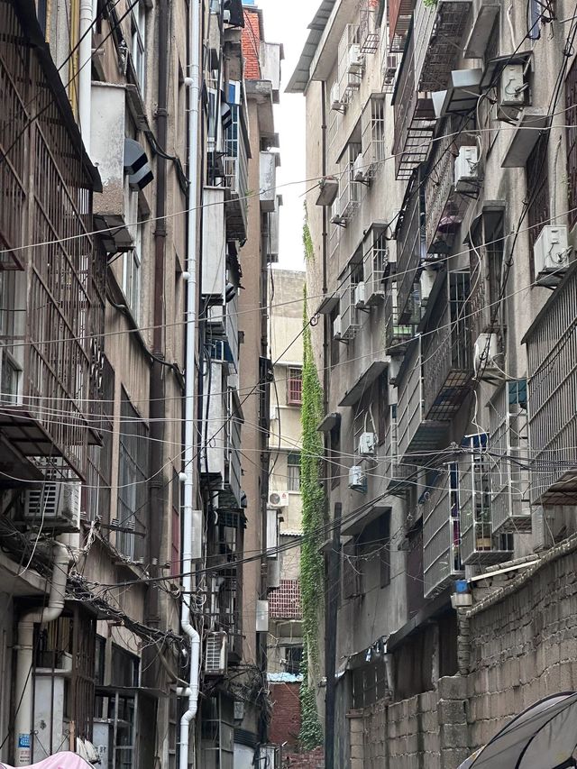2日秋遊隨州 賞秋景全攻略。