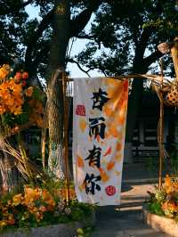 總要下趟江南吧 | 常熟秋日漫行 。