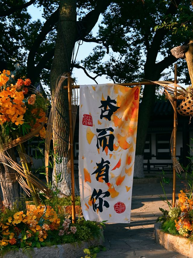總要下趟江南吧 | 常熟秋日漫行 。