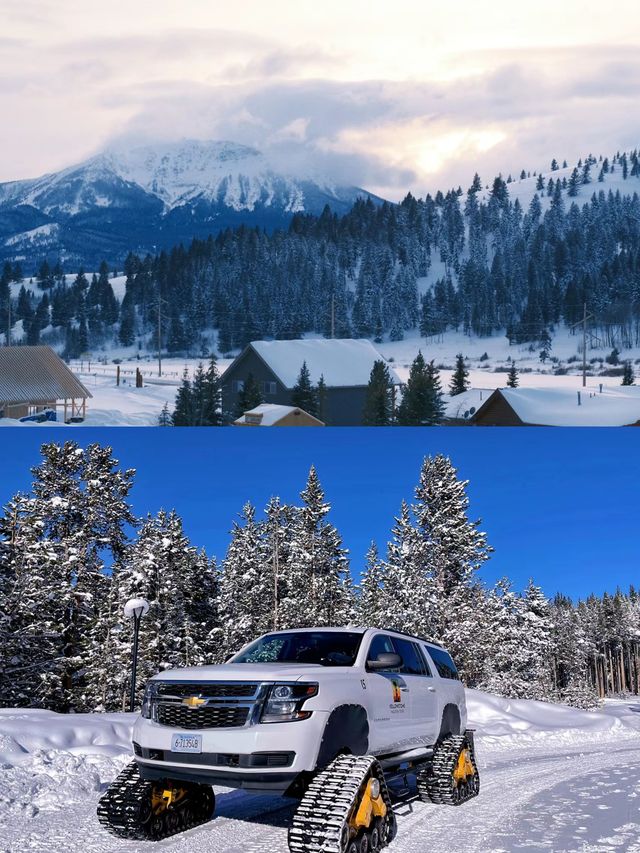 Winter in Yellowstone is a must-visit!