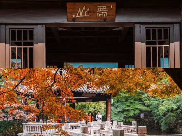 蘇州人嘴真嚴，這麼美的地方藏着不說……