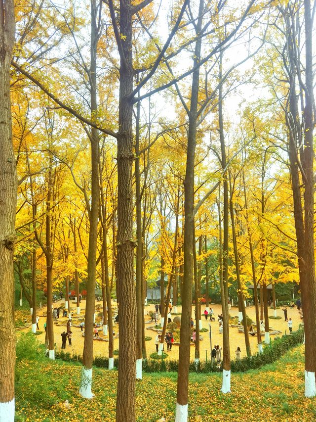 南京小眾賞秋處|清涼山公園 南京小眾賞秋處|清涼山公園