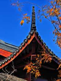 打卡濱江森林公園滈園