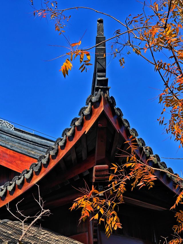 打卡濱江森林公園滈園