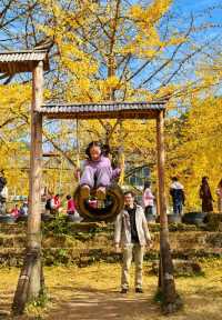 2024旅行結算｜廣東的秋天雖遲到但如約而至
