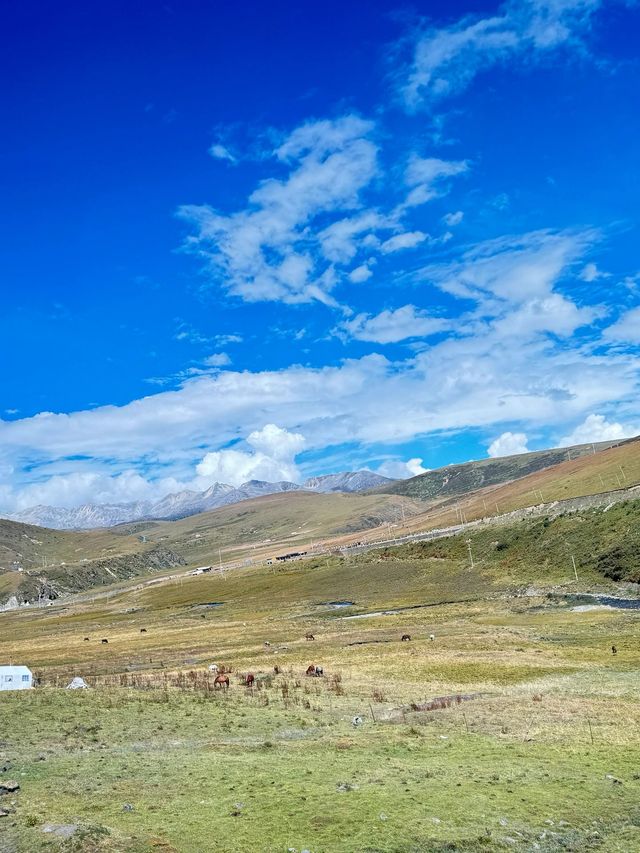 成都-四姑娘山-色達6日深度遊 超全攻略來襲必看