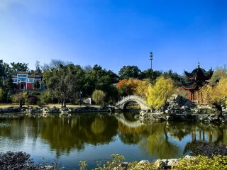 Yueyang Junshan Island