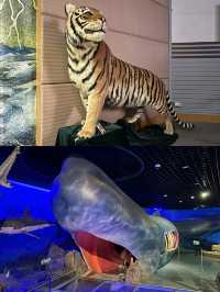 福建博物院｜玩全攻略