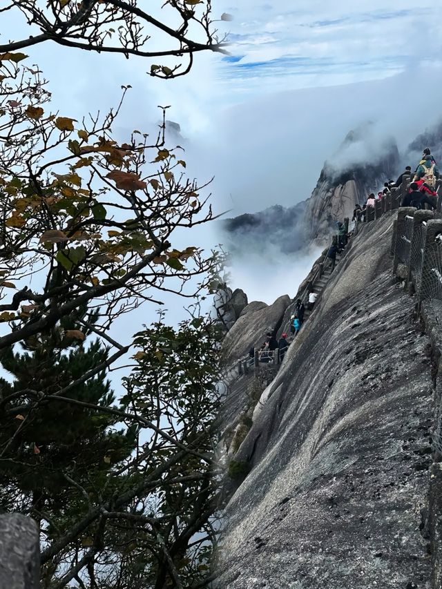 深圳出發2h周邊遊 | 鐘山水墨田園寶藏攻略