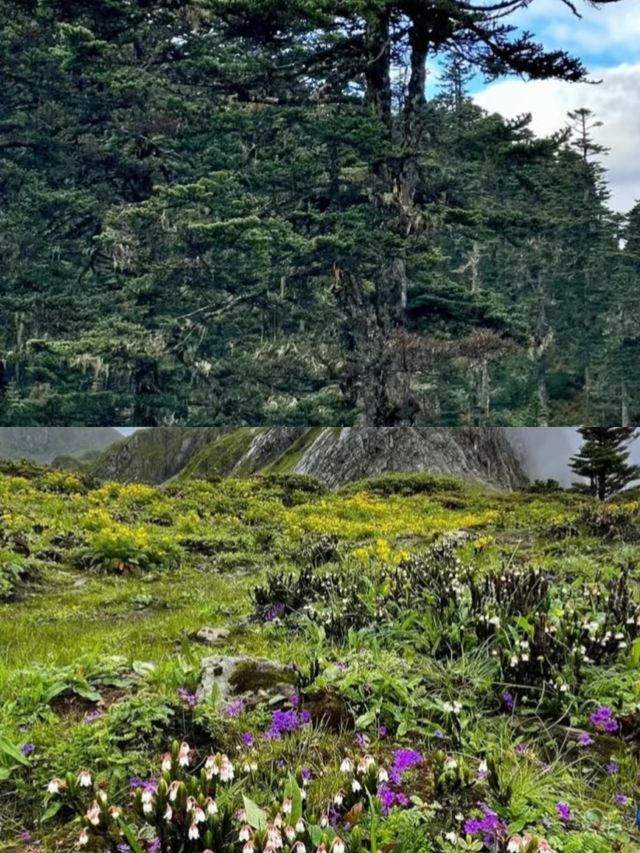 不是冰島 不是挪威 而是雲南的南極洛