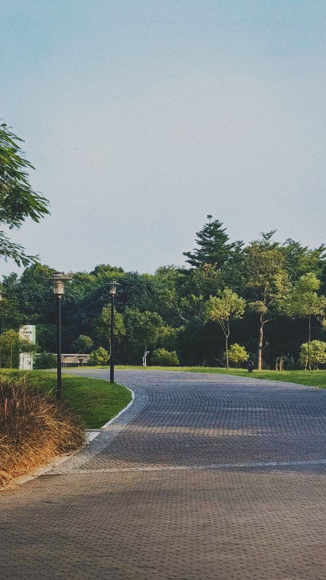 《徒步石岩湖陌上花開公園：探尋未知的美麗》