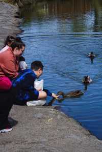 Explore the Auckland Botanic Garden This Spring