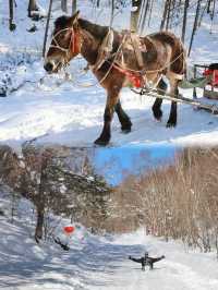 從雪谷穿越雪鄉，正確打開林海雪原的旅行方式