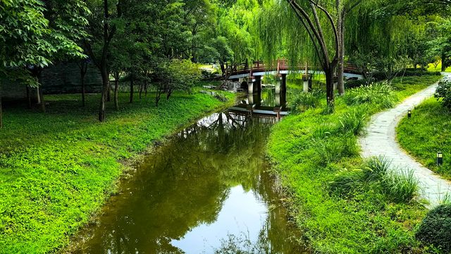 北坞公園的夏天，真美！