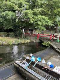 5天行程 體驗日本 比失戀還難以忘懷