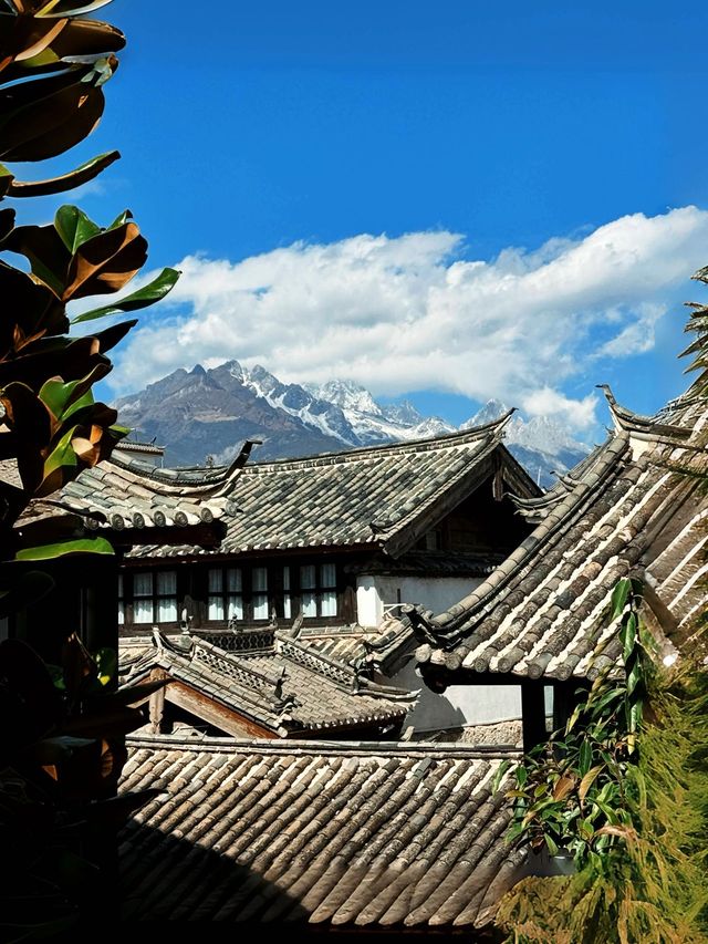 在茶馬古道感受麗江韻味