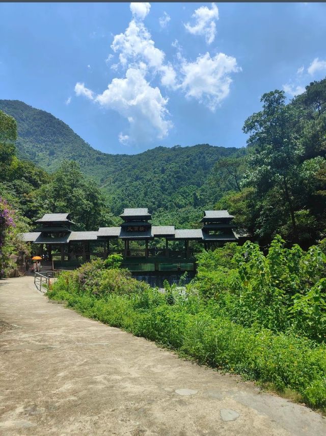 被問爆的小眾寶藏地|肇慶紫雲谷