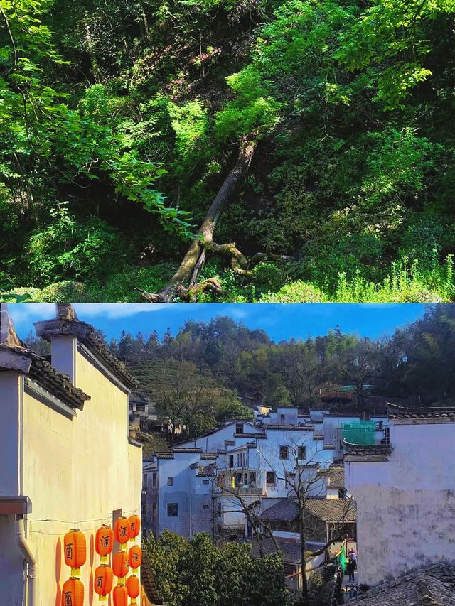 徐霞客沒騙我!!這裏跟黃山一樣值得去!