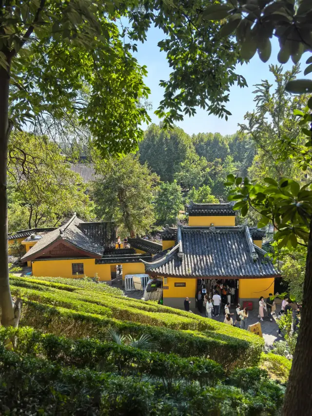 Nanjing Jiming Temple is back! Here are some things you need to know about praying for blessings!