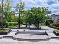 桂中央公園