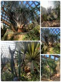 冬日裏的太原植物園