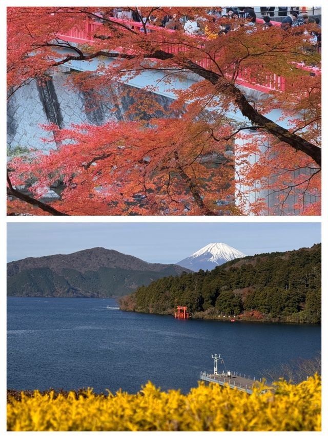 探索日本三島市：自然與文化的完美融合