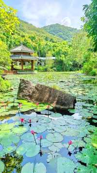 亞龍灣熱帶天堂森林公園，這樣玩才夠味