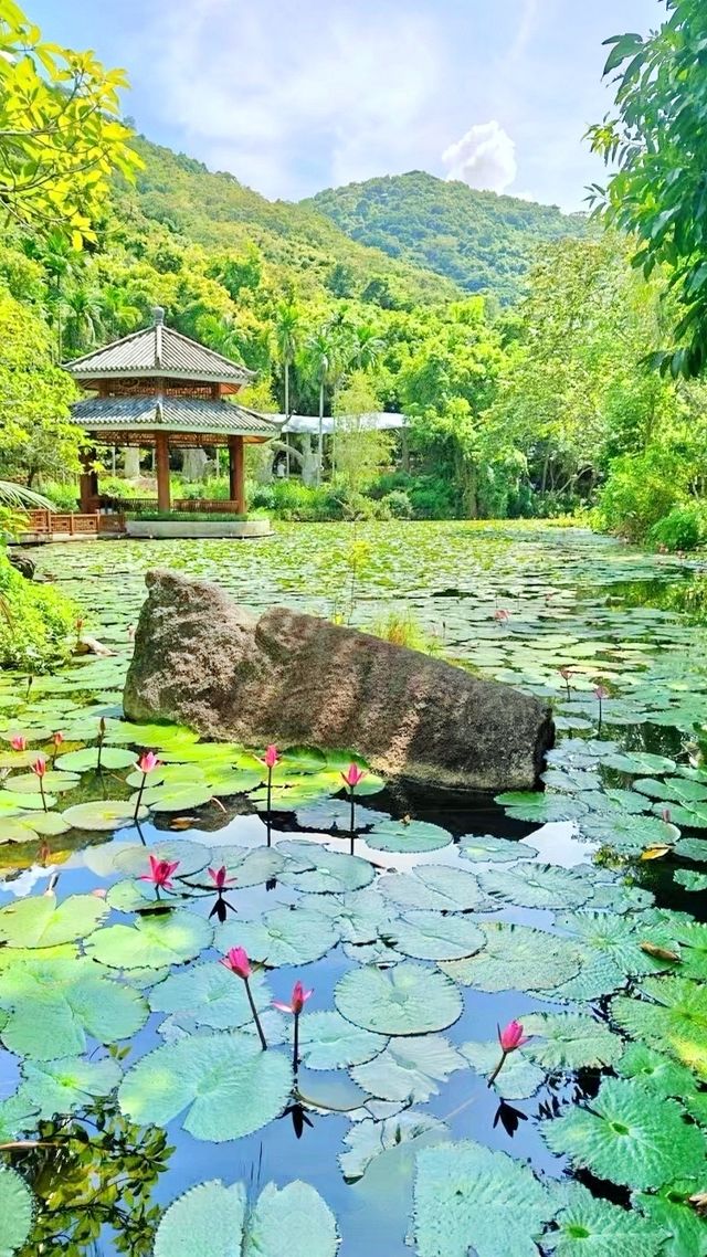 亞龍灣熱帶天堂森林公園，這樣玩才夠味