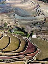 3日探秘元陽 古鎮古村不迷路