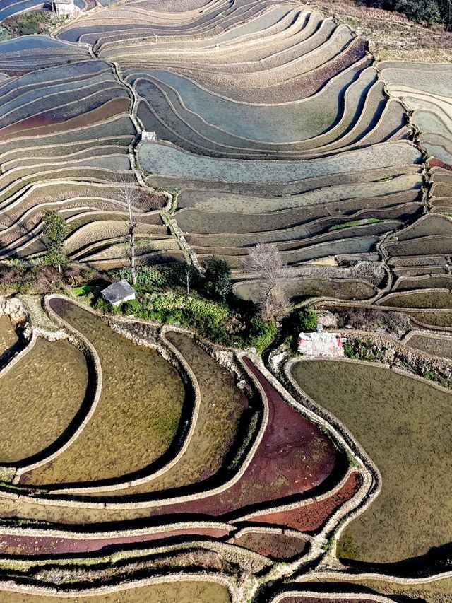 3日探秘元陽 古鎮古村不迷路