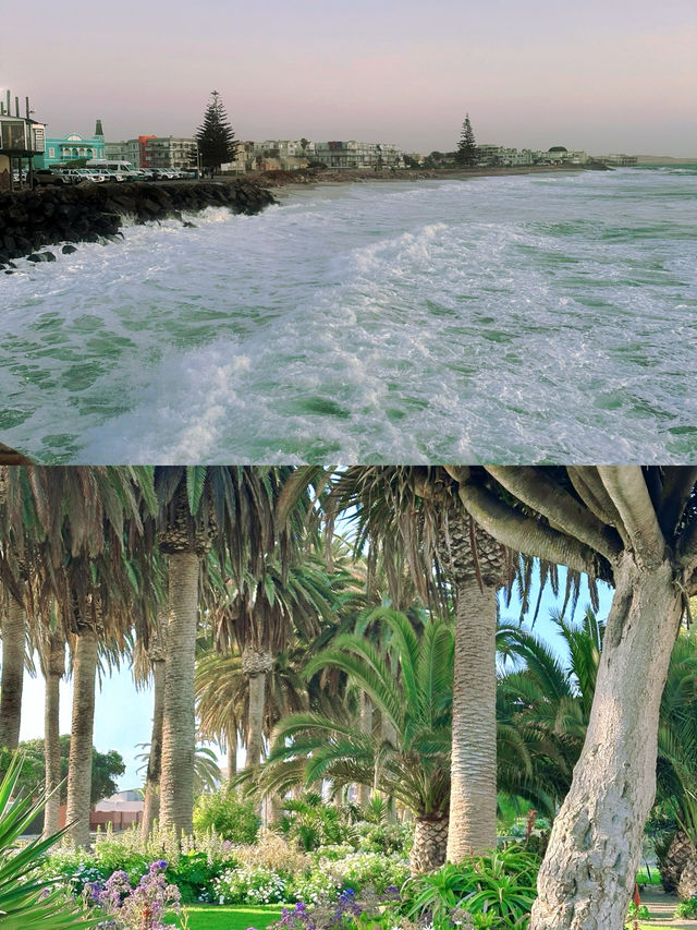 納米比亞斯瓦科普蒙德｜沙漠與海洋邂逅嘅奇幻之地