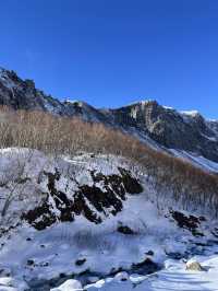 寒假去哪玩？長春、長白山等你來探索