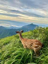 江西·𝐖𝐮 𝐠𝐨𝐧𝐠 𝐬𝐡𝐚𝐧武功山