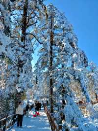 距離成都3小時的冰雪樂園，瓦屋山旅行攻略！