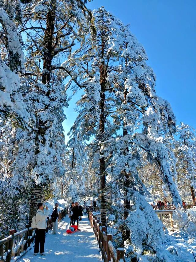 距離成都3小時的冰雪樂園，瓦屋山旅行攻略！