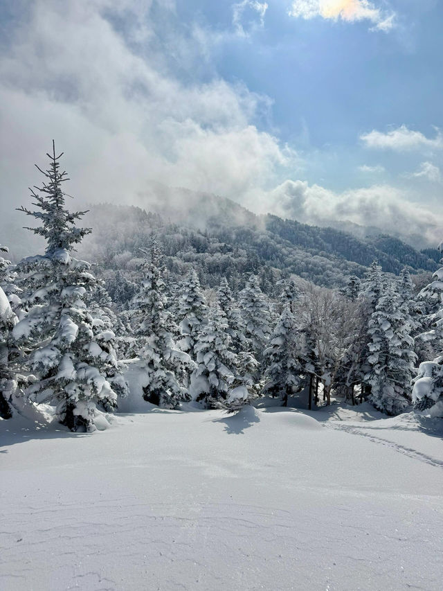 新年旅行第一站，志賀高原滑雪全攻略