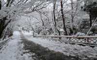 【京都· 龍安寺雪景·2025】