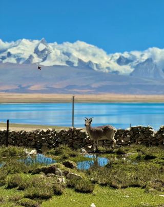 Tibet's Lake Paiku: The Most Beautiful Scenery I've Ever Seen