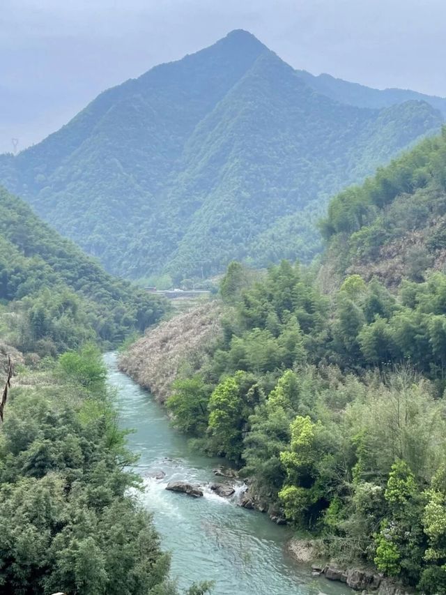 人少景美｜雨季一定要來走一趟馬嶺古道